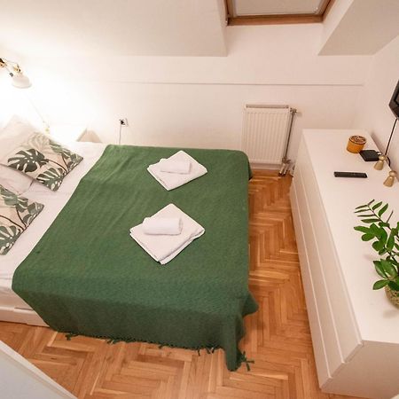 Spacious 1-Bedroom Apartment نوفي ساد المظهر الخارجي الصورة